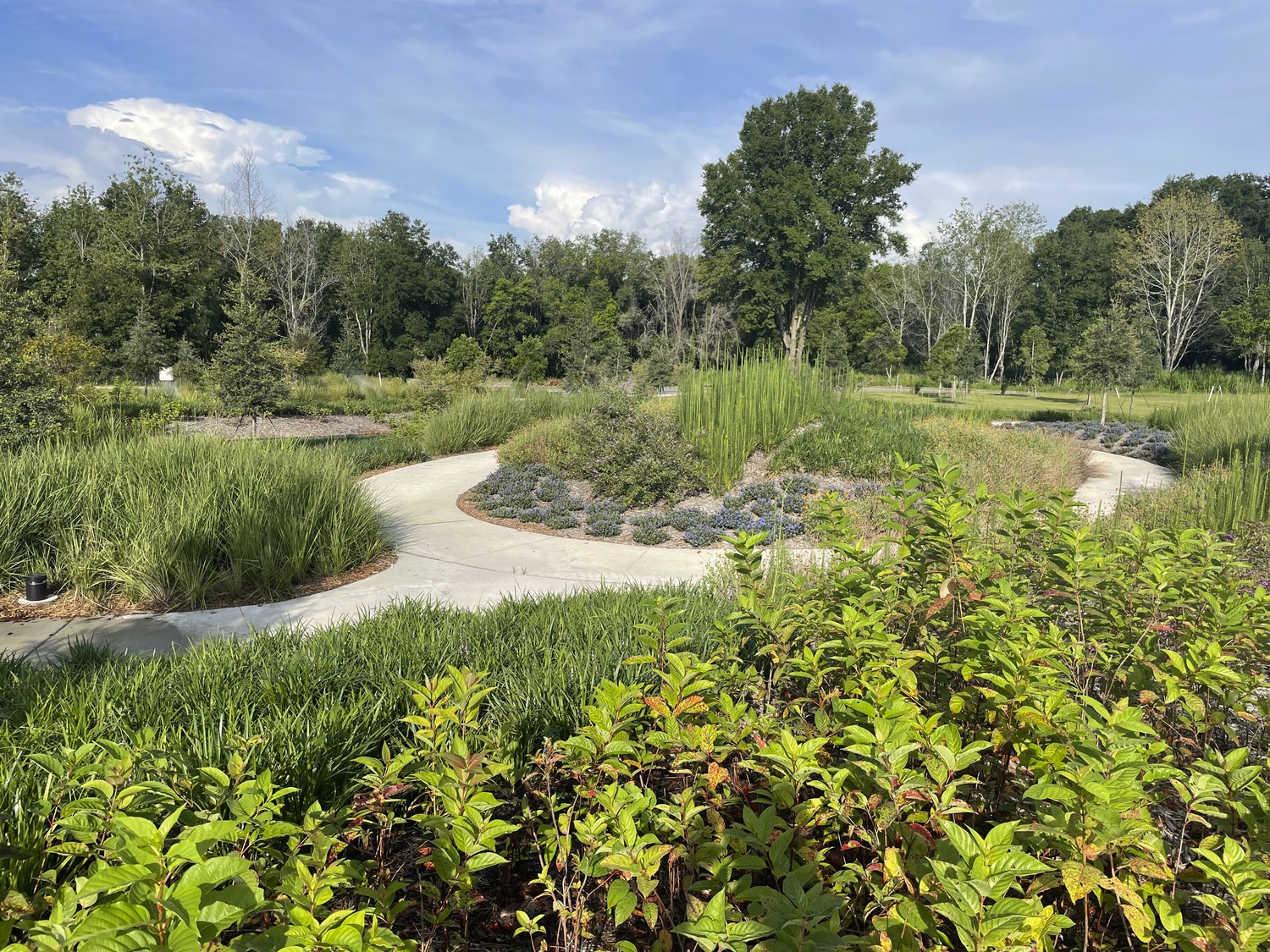 Botanical garden with circular pathway