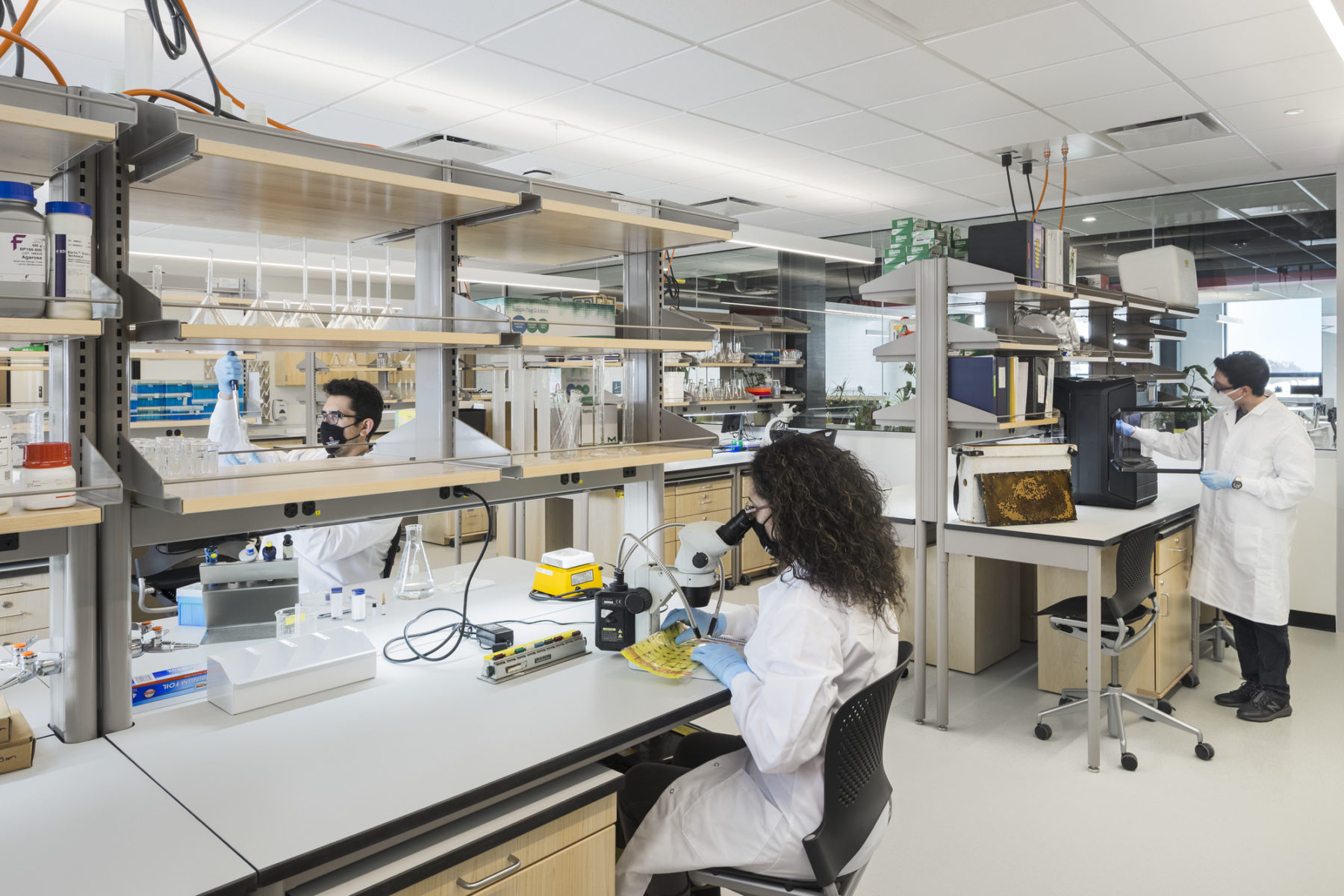 photo of lab space, in the foreground a woman in a lab coat looks into a microscope