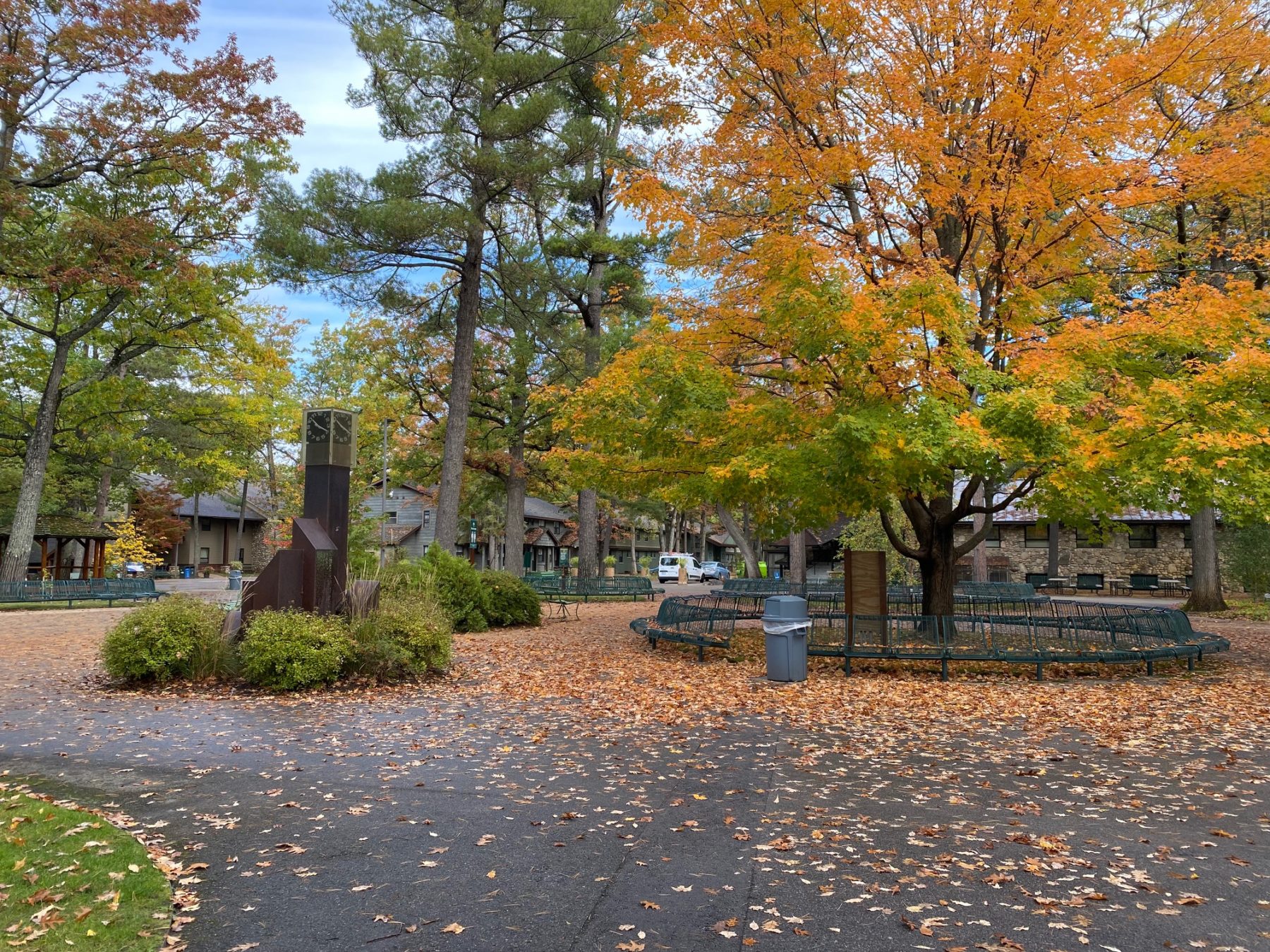 The Interlochen campus in fall: a large tree is bright yellow and green, and yellow leaves are on the ground surrounding it