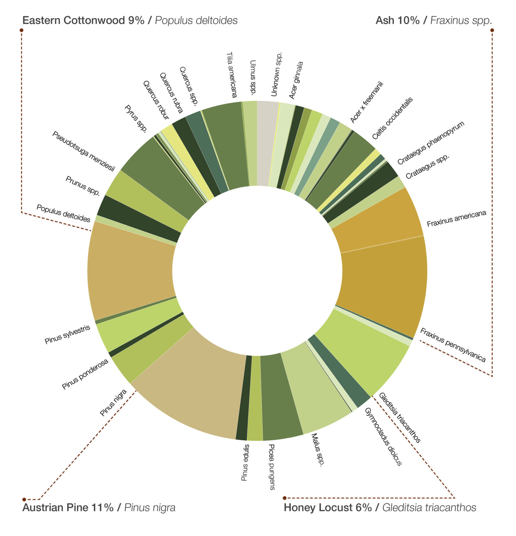 plan drawing highlighting campus canopy analysis with chart describing species beside