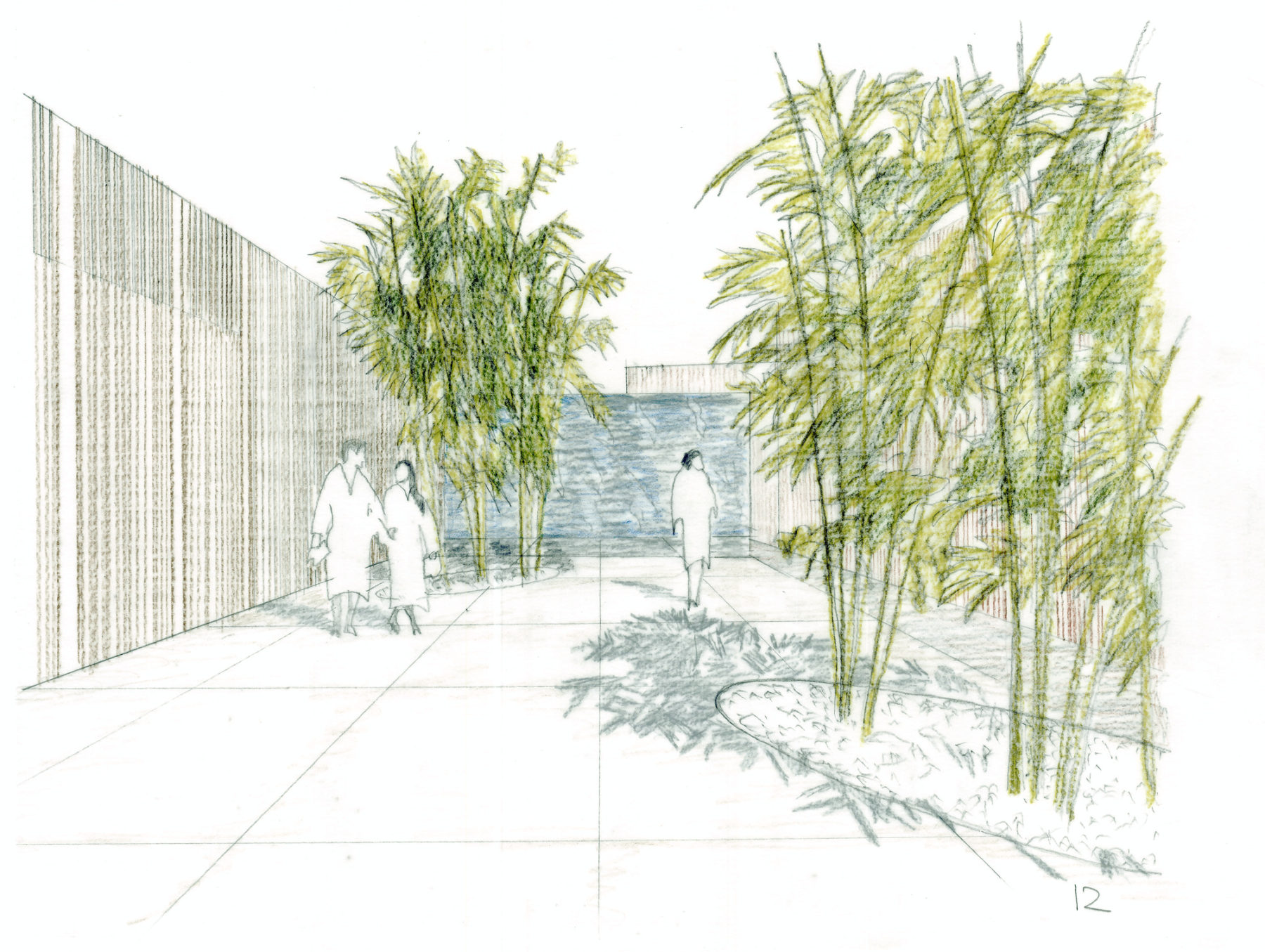 sketch of one of the rooms on the site with bamboo trees