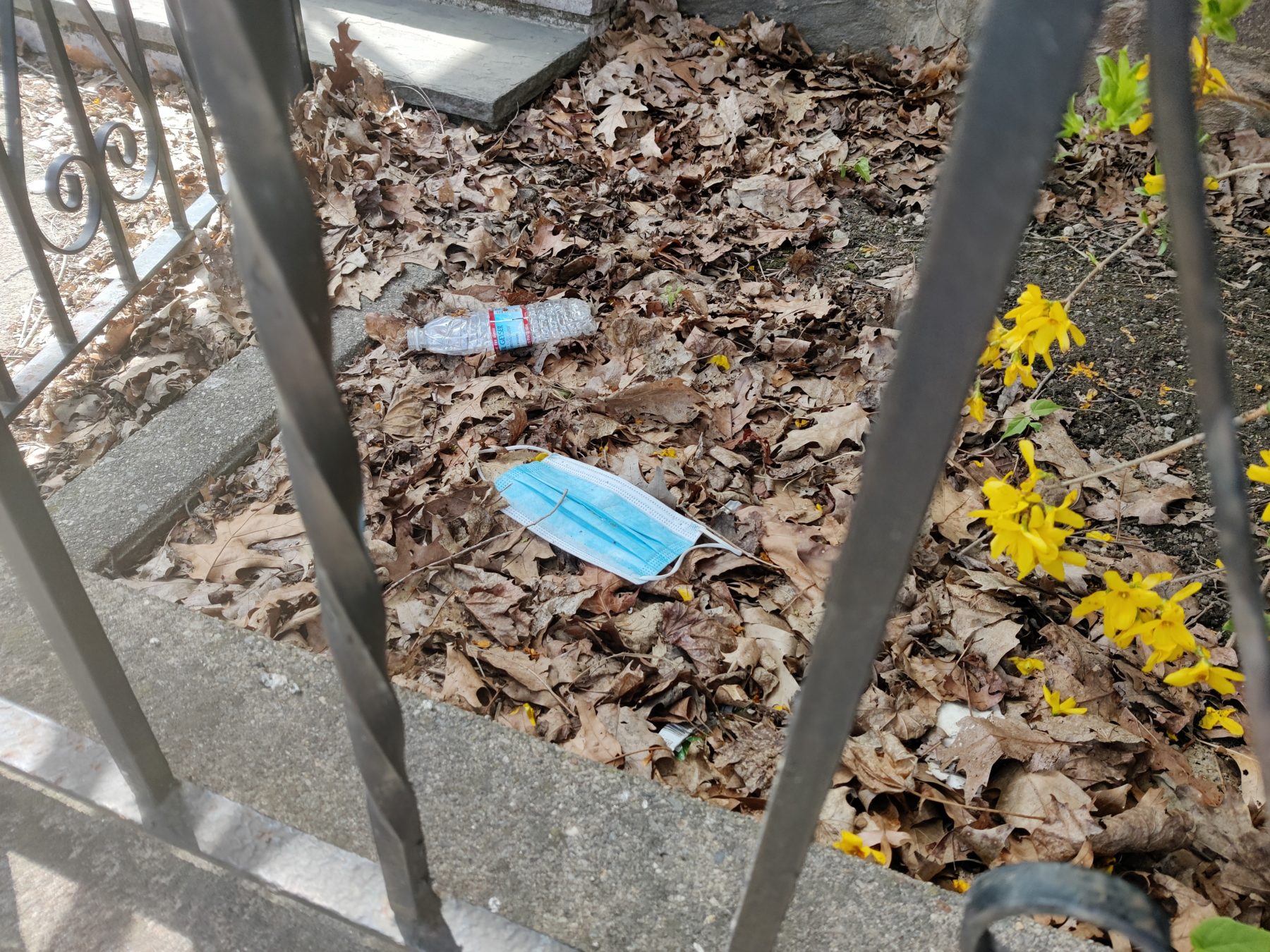 Photo of a blue medical mask and a plastic water bottle littered on the ground on top of some leaves