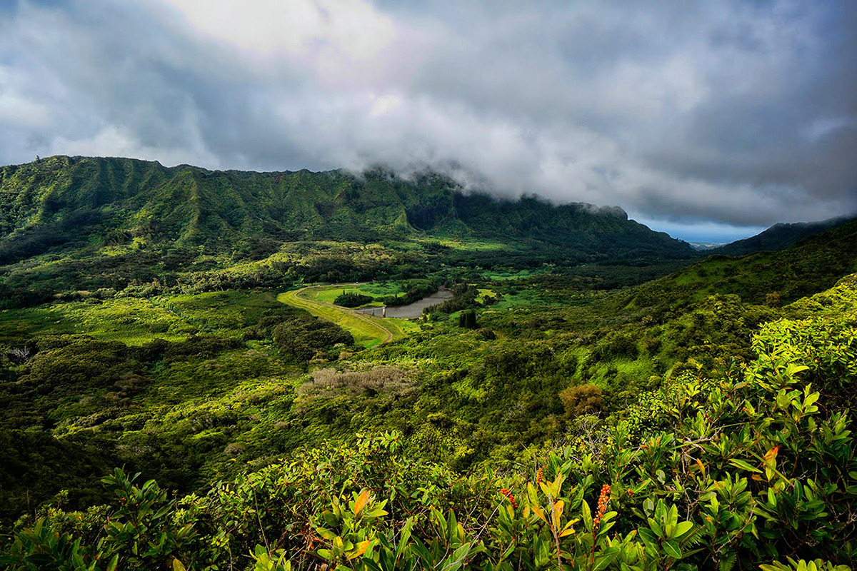 Aerial shot of the natural landscape