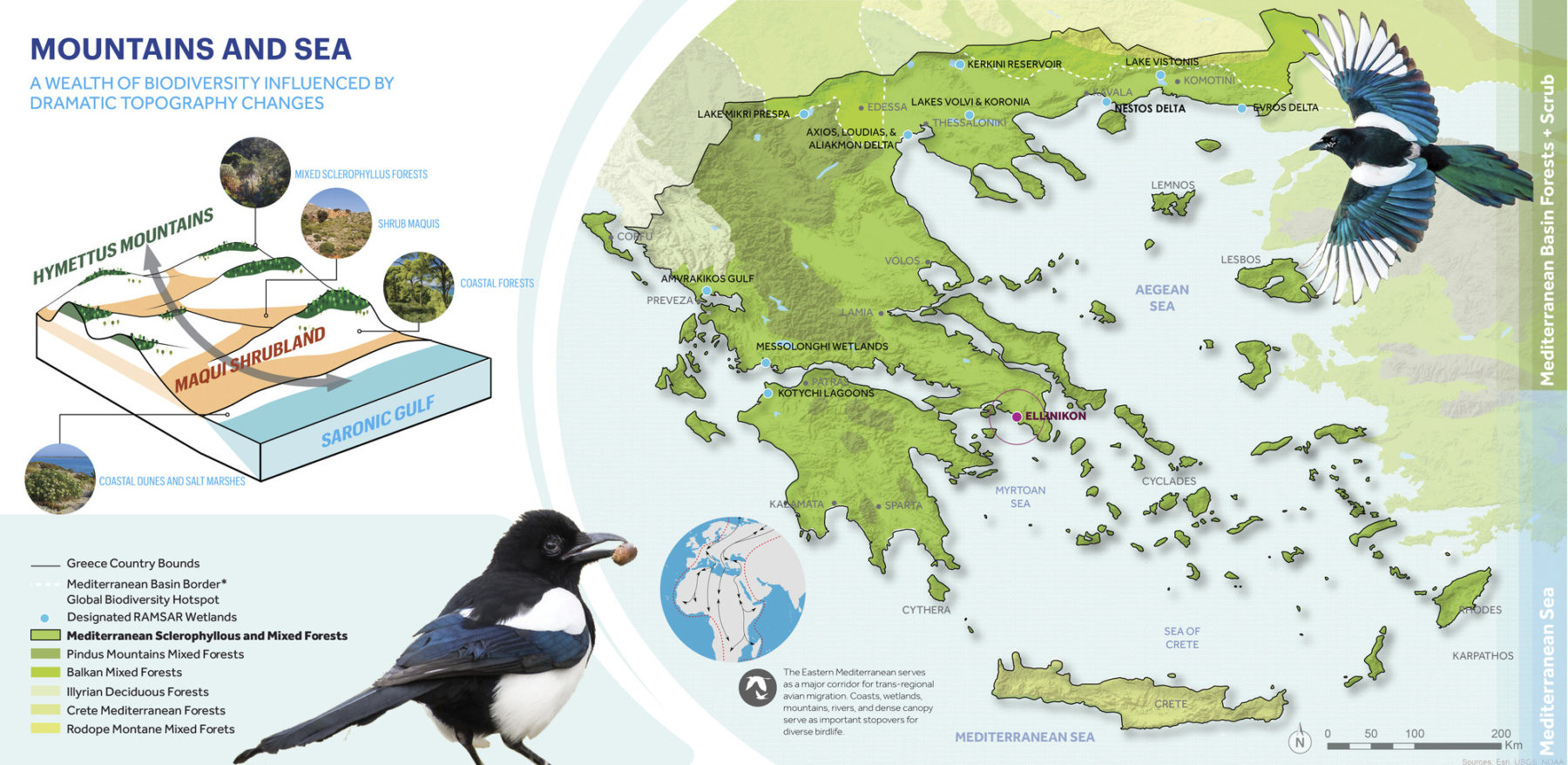 Diagram showing the biodiversity within the site's region. Image title reads 