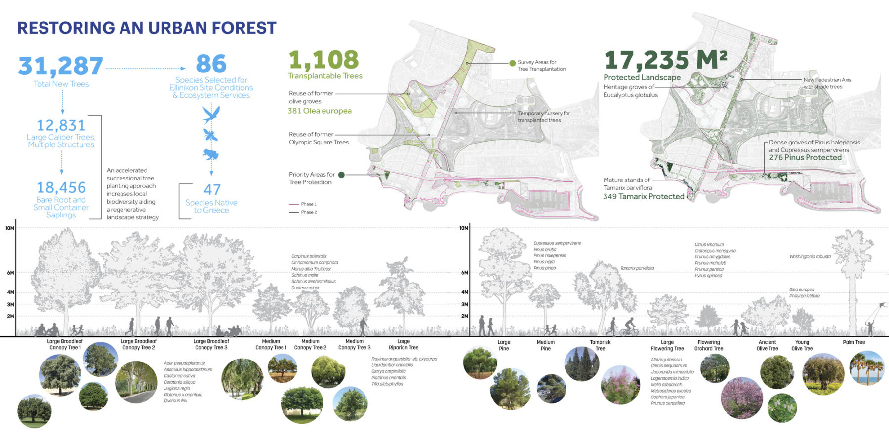 Diagram of planting strategy for the project. Image title reads 