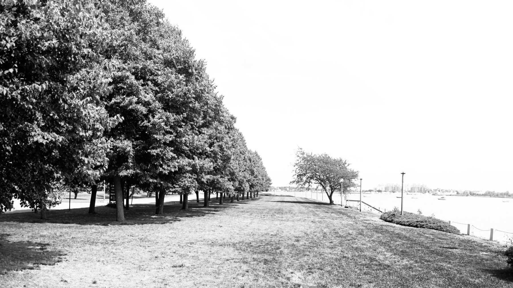 Black and white photos of tree-lined coastline with no development