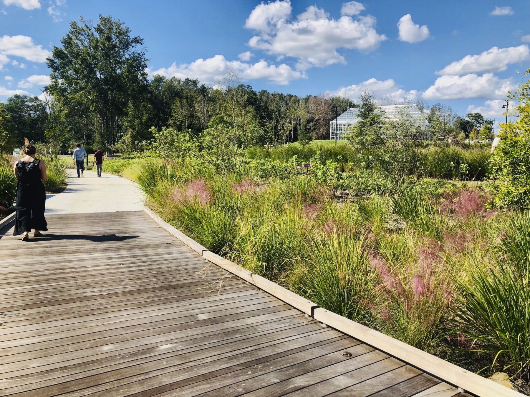 A boardwalk that is surrounded by natural-looking gardens