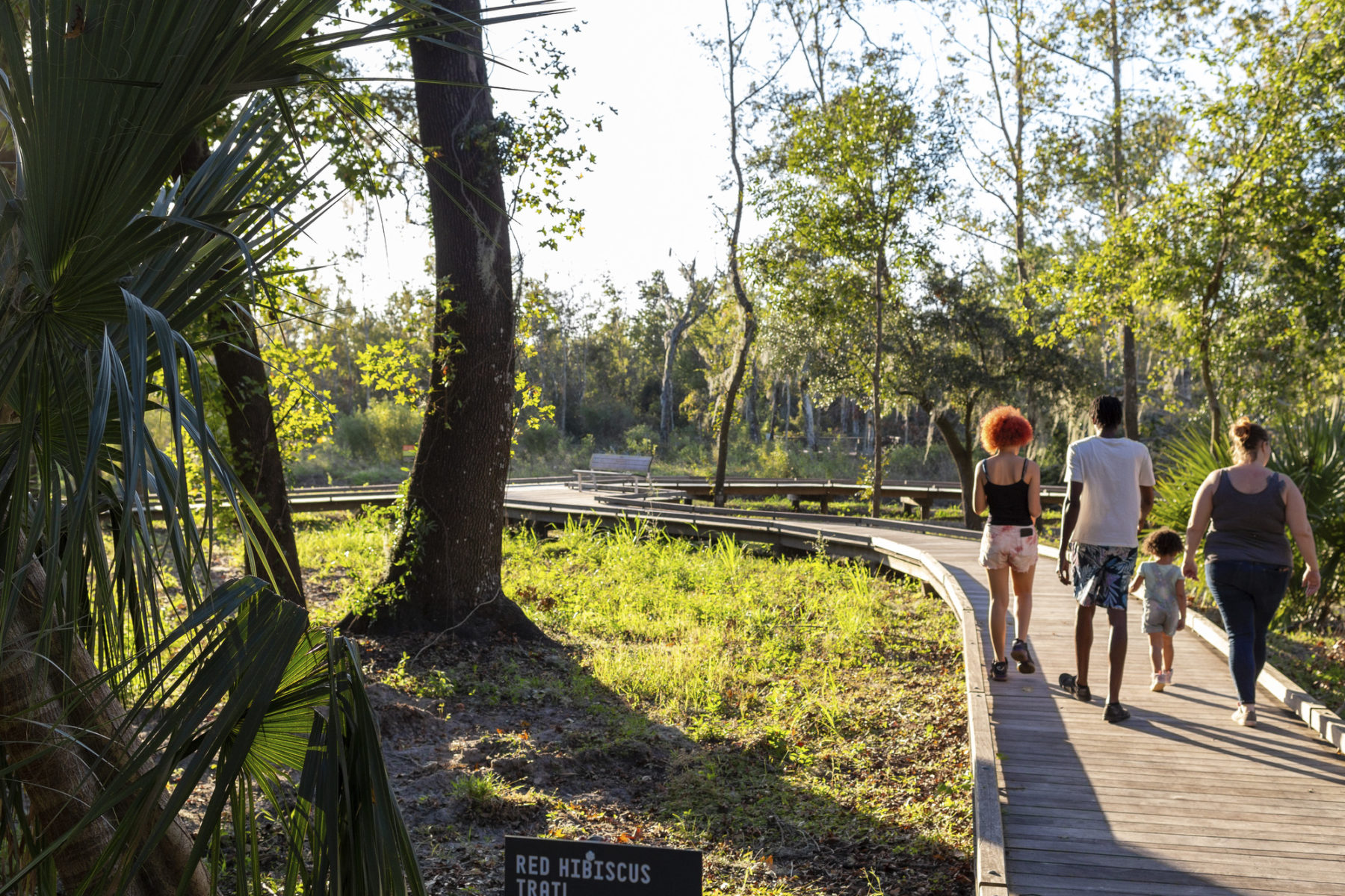 Two people walk along a boardwalk surrounded by tall trees