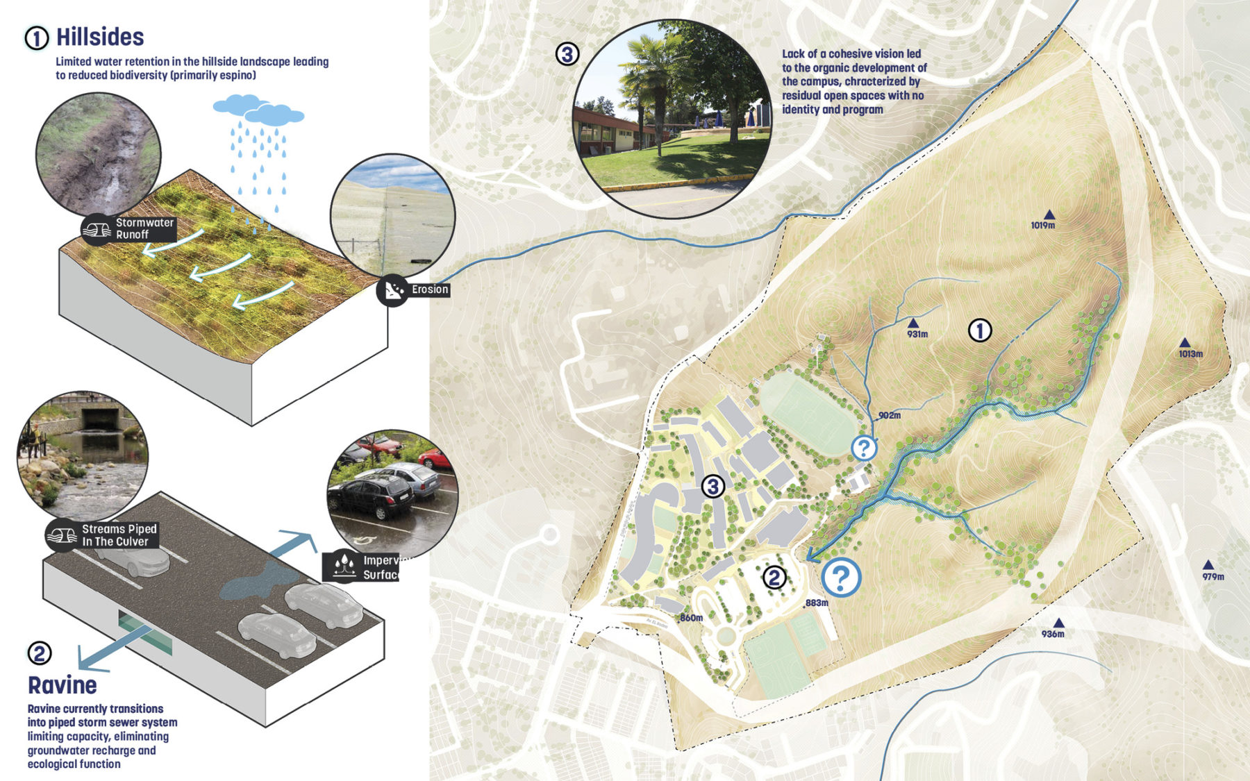 diagram of site ecology highlighting three different conditions: (1) Hillsides, (2) Ravine, and (3) campus open space