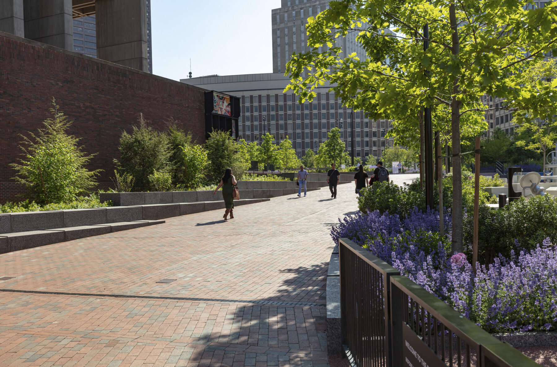 People walking through the sloped promenade with trees lining the walkway and blooming purple flowers