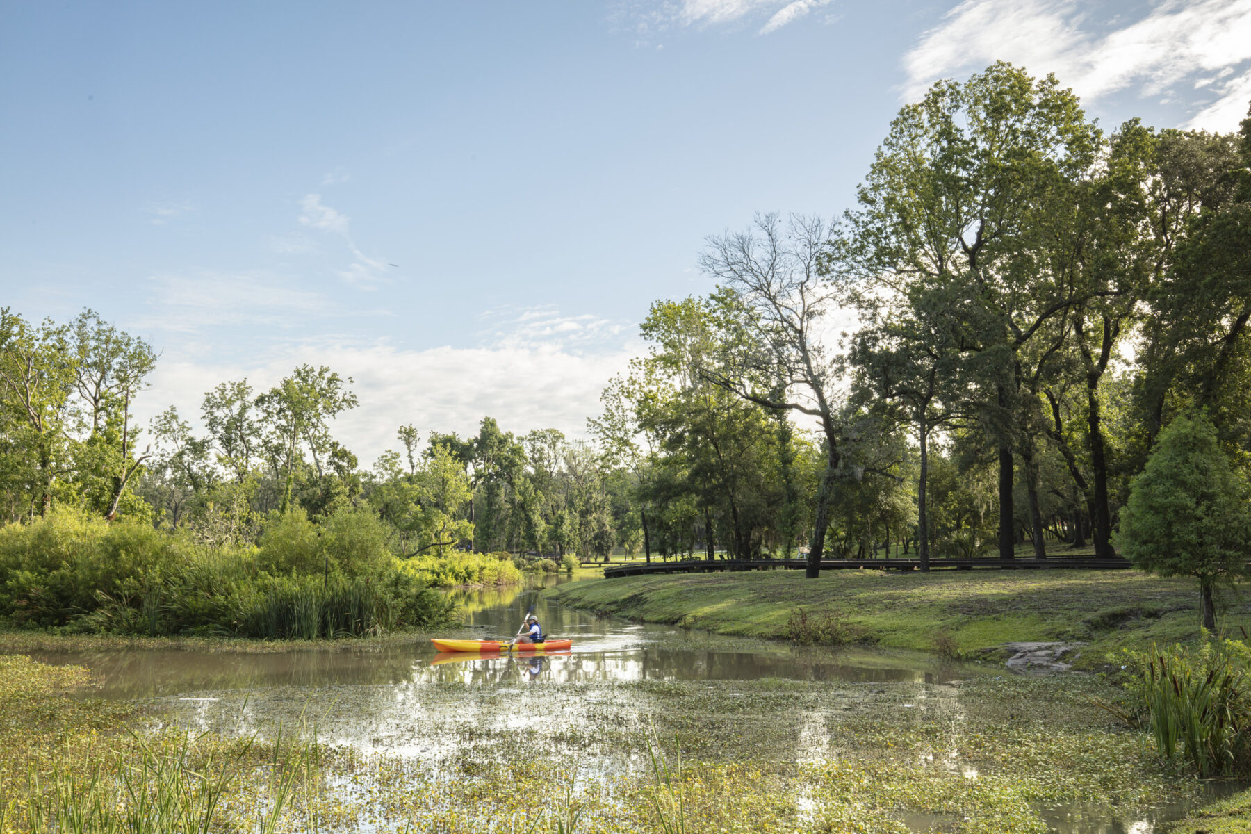 Solo kayak in lagoon with trees and wooden board walking path in distance