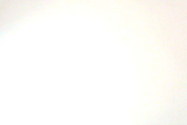 Animated GIF of a piece of paper. Flaps on the paper open to reveal the phrase 