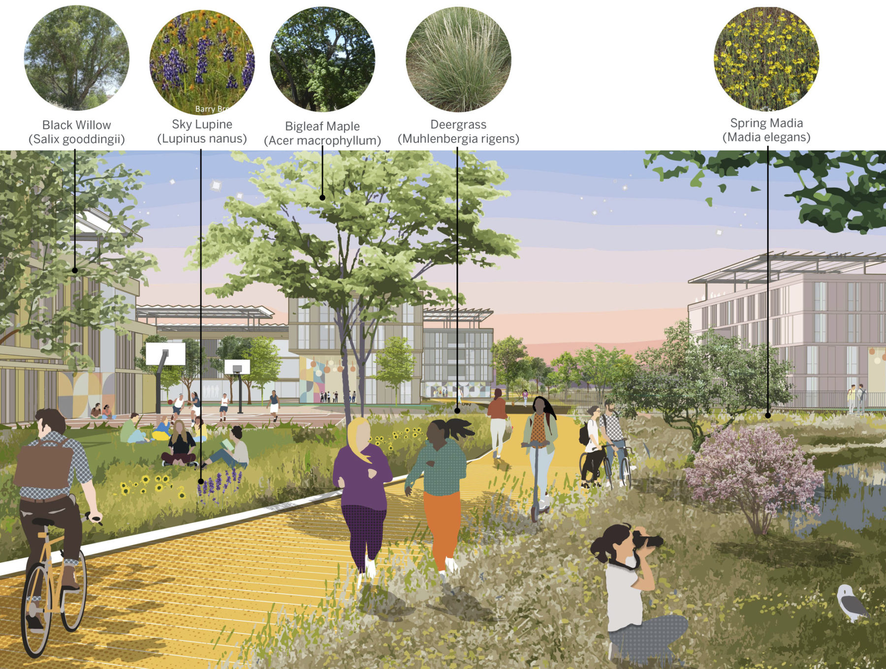 Sacramento State University Placer Ranch Master Plan