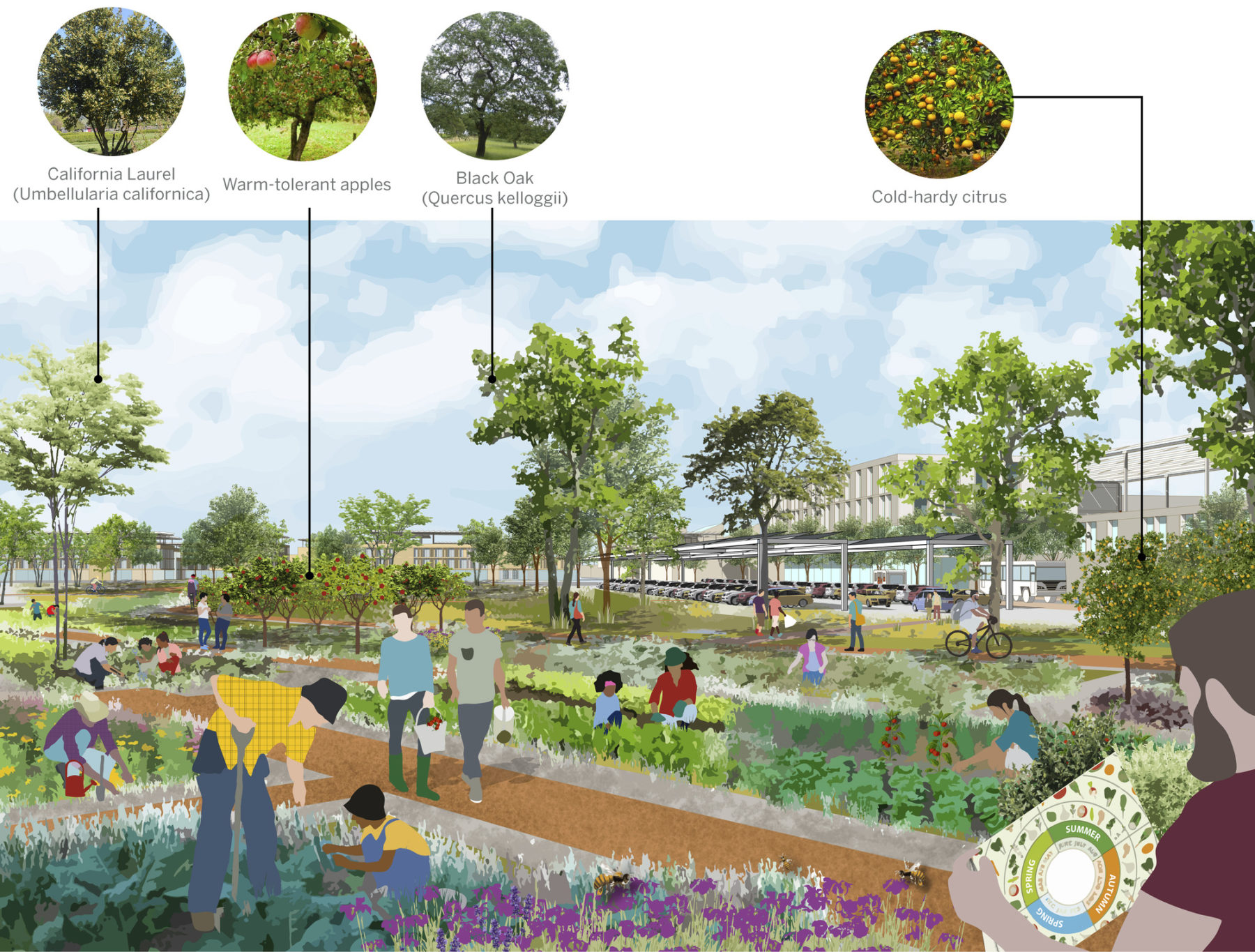 Sacramento State University Placer Ranch Master Plan