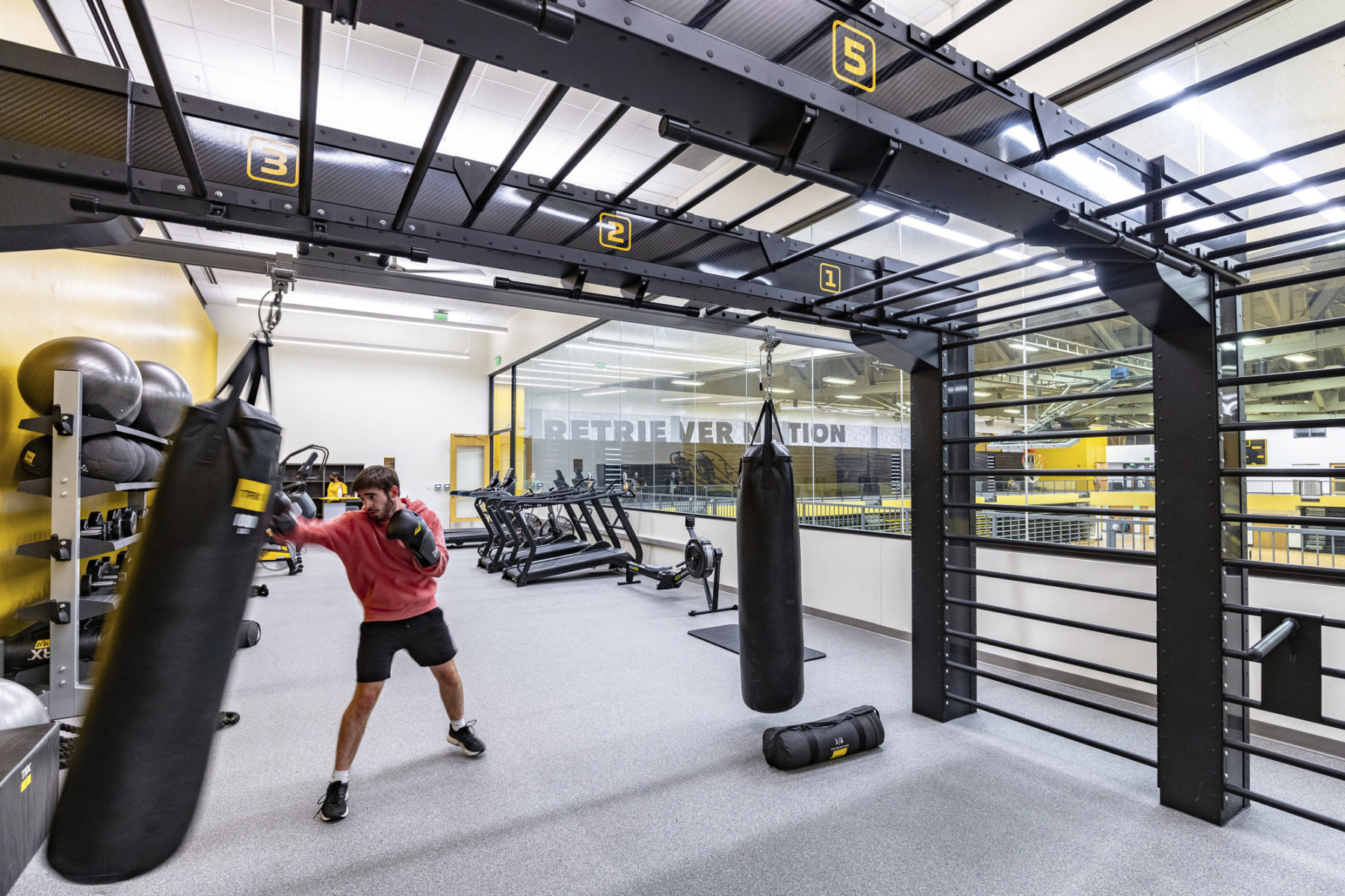 functional fitness area