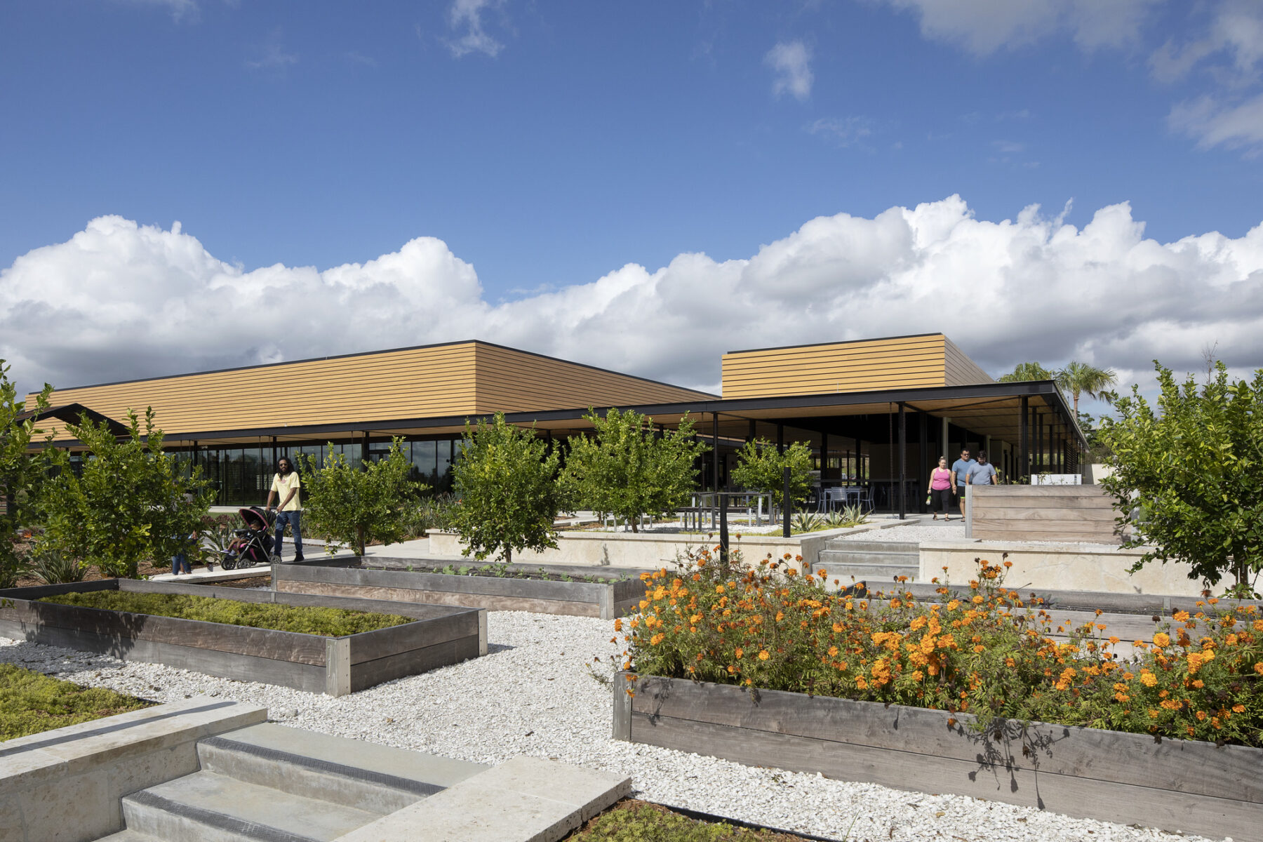 photograph of wooden planter beds at various levels at entrance to event center