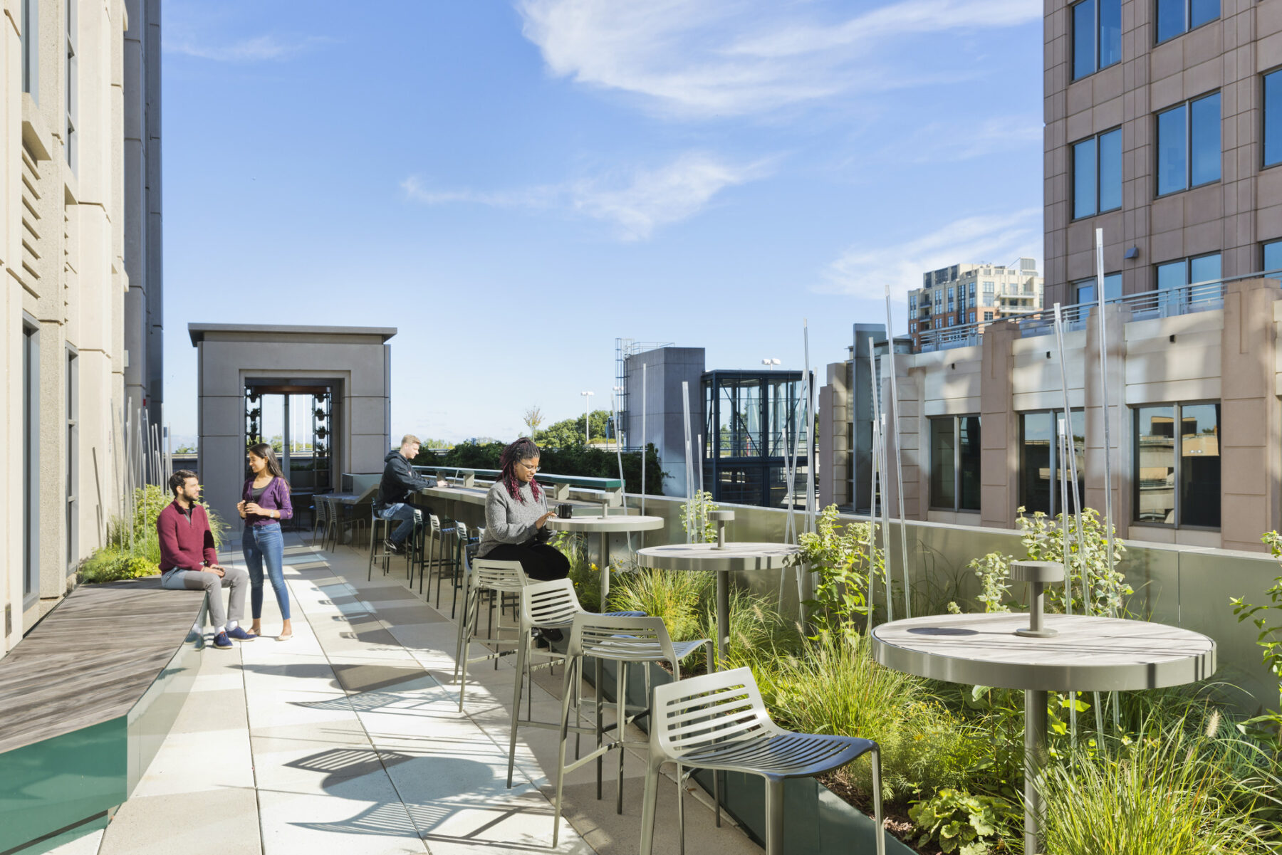 View of roof terrace with tall tables and garden beds with vegetation