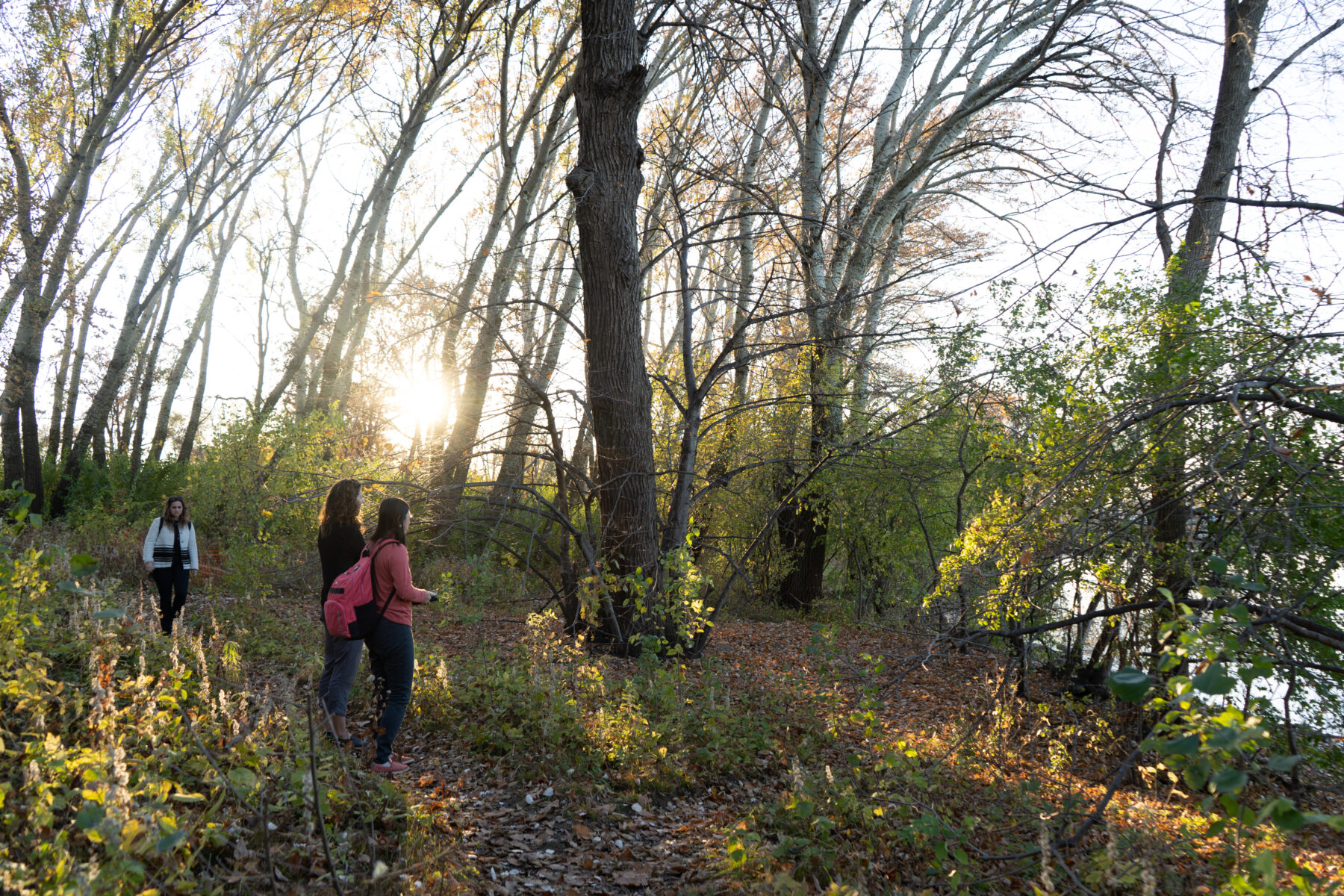 people walking through a wooded area along the lake's edge