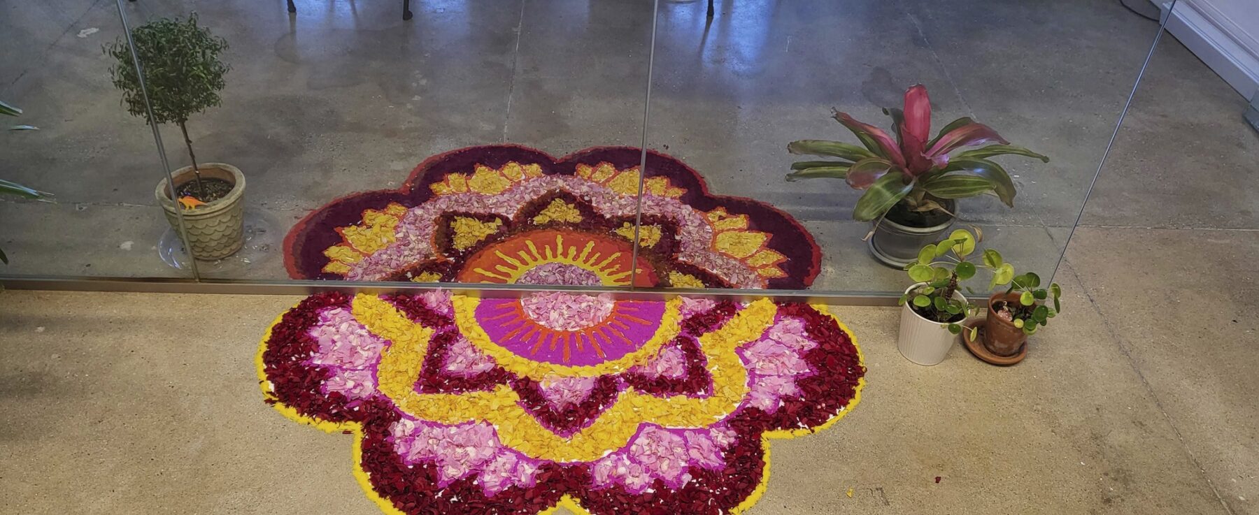 photo of rangoli art on the floor. a glass wall bisects the middle of the design