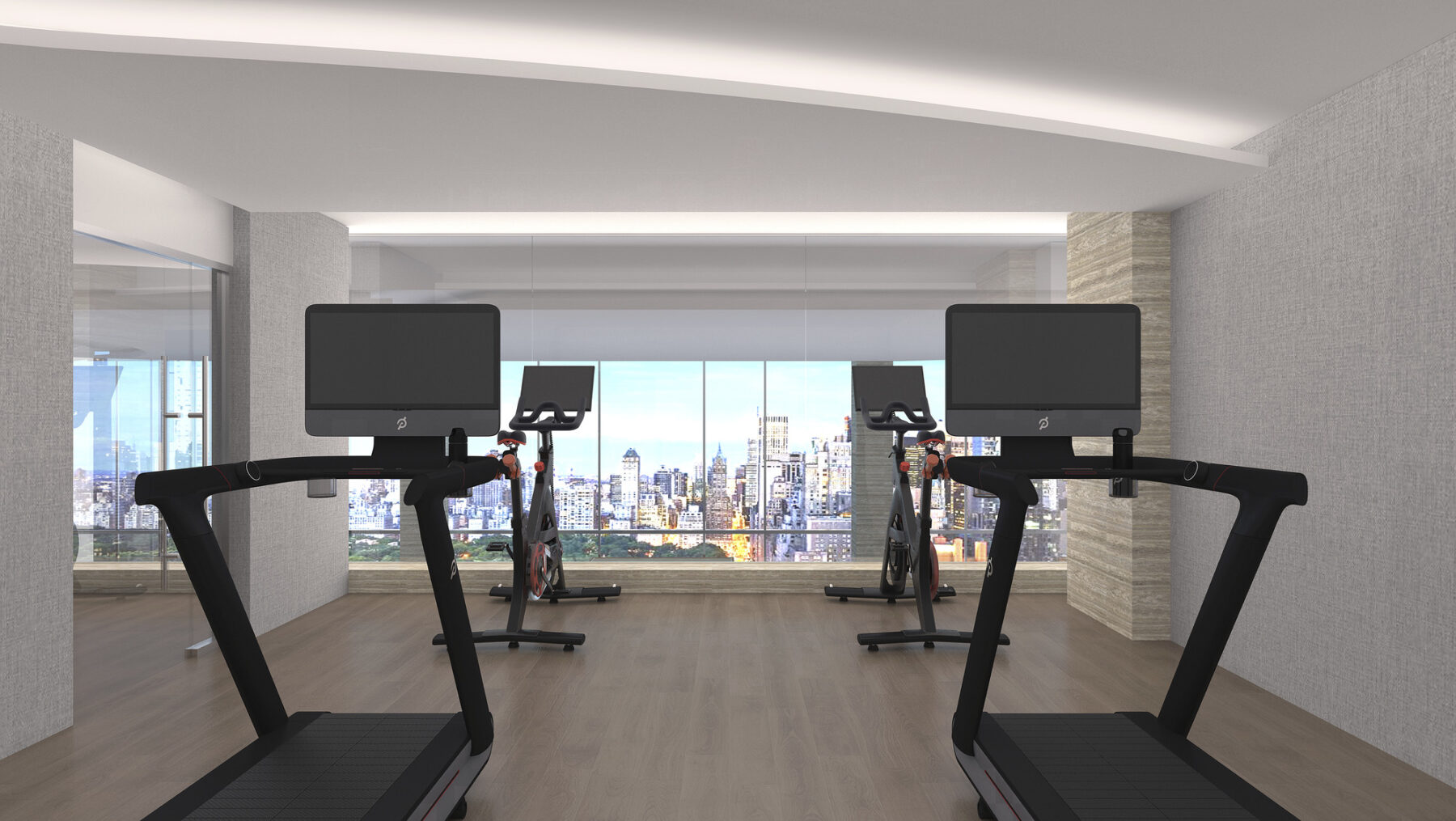 Rendering of fitness space