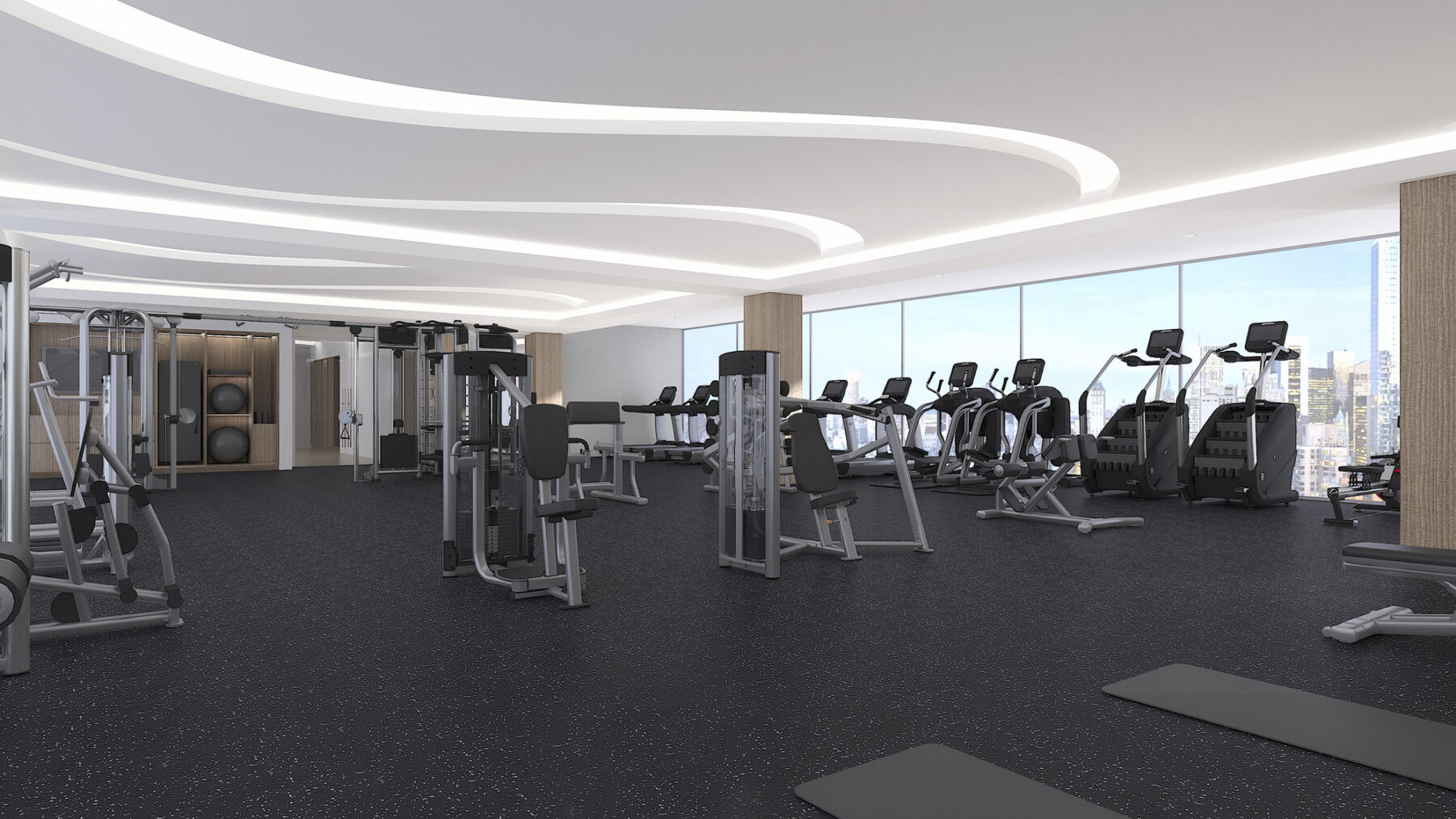 Rendering of fitness space