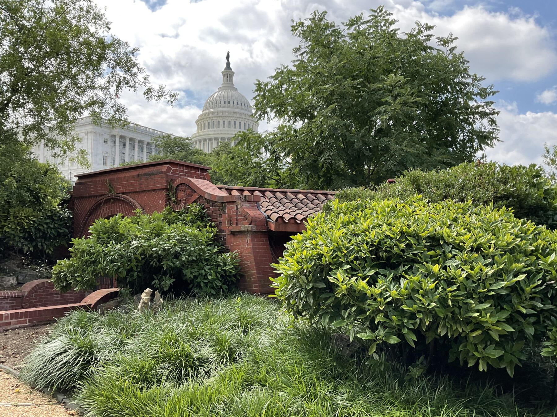 a view of the capital building from a lush pathway