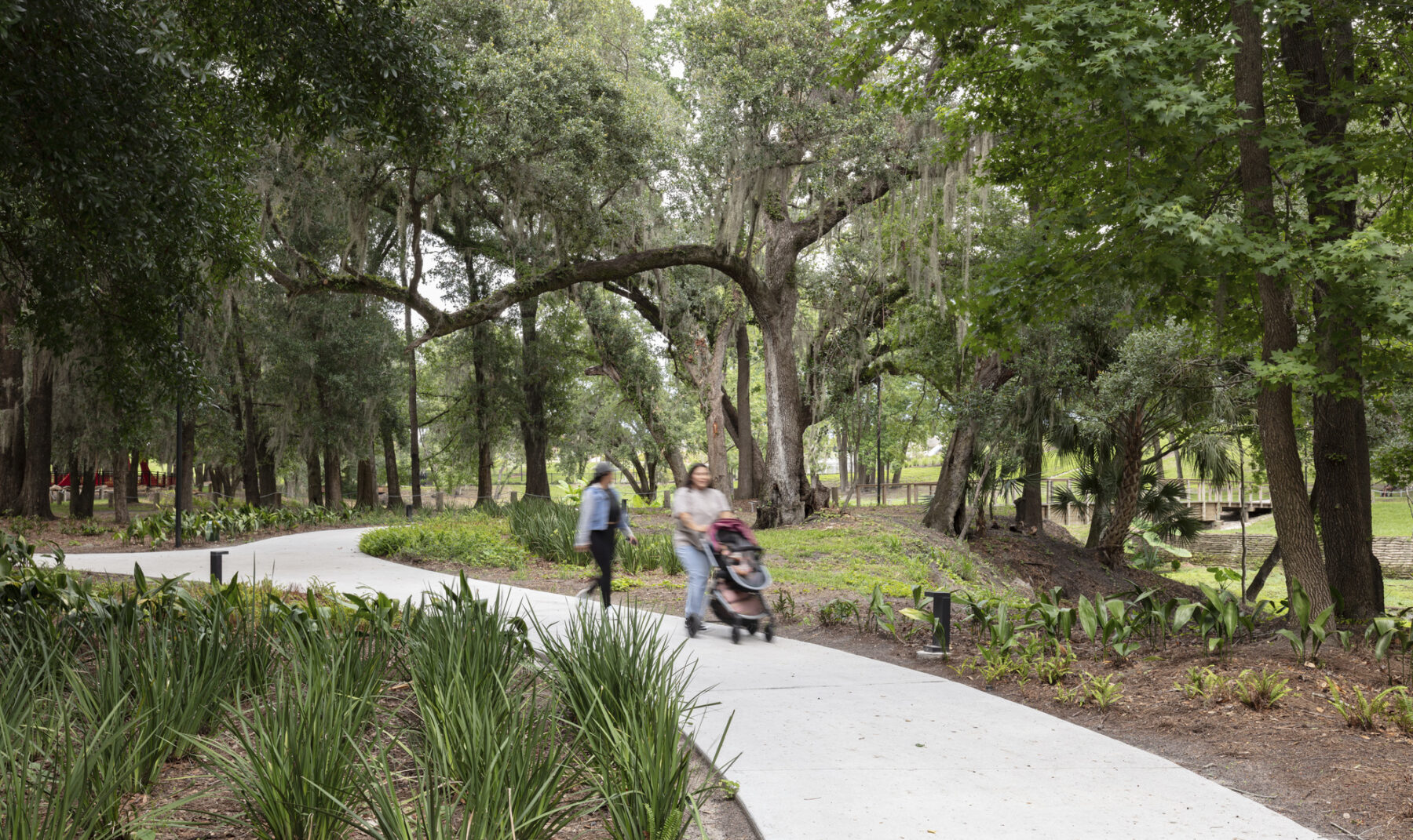 photograph of pedestrian pushing stroller on sidewalk framed by live oaks