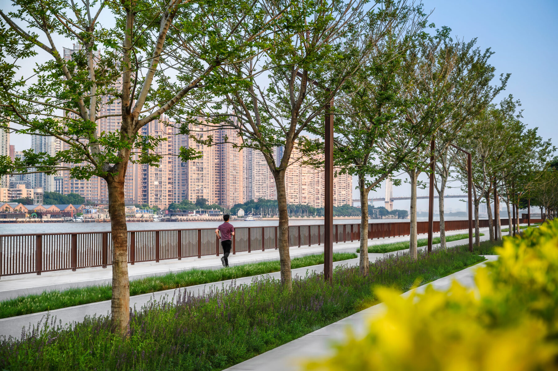 Photography of tree-lined view down the Blueway along the river with a man jogging