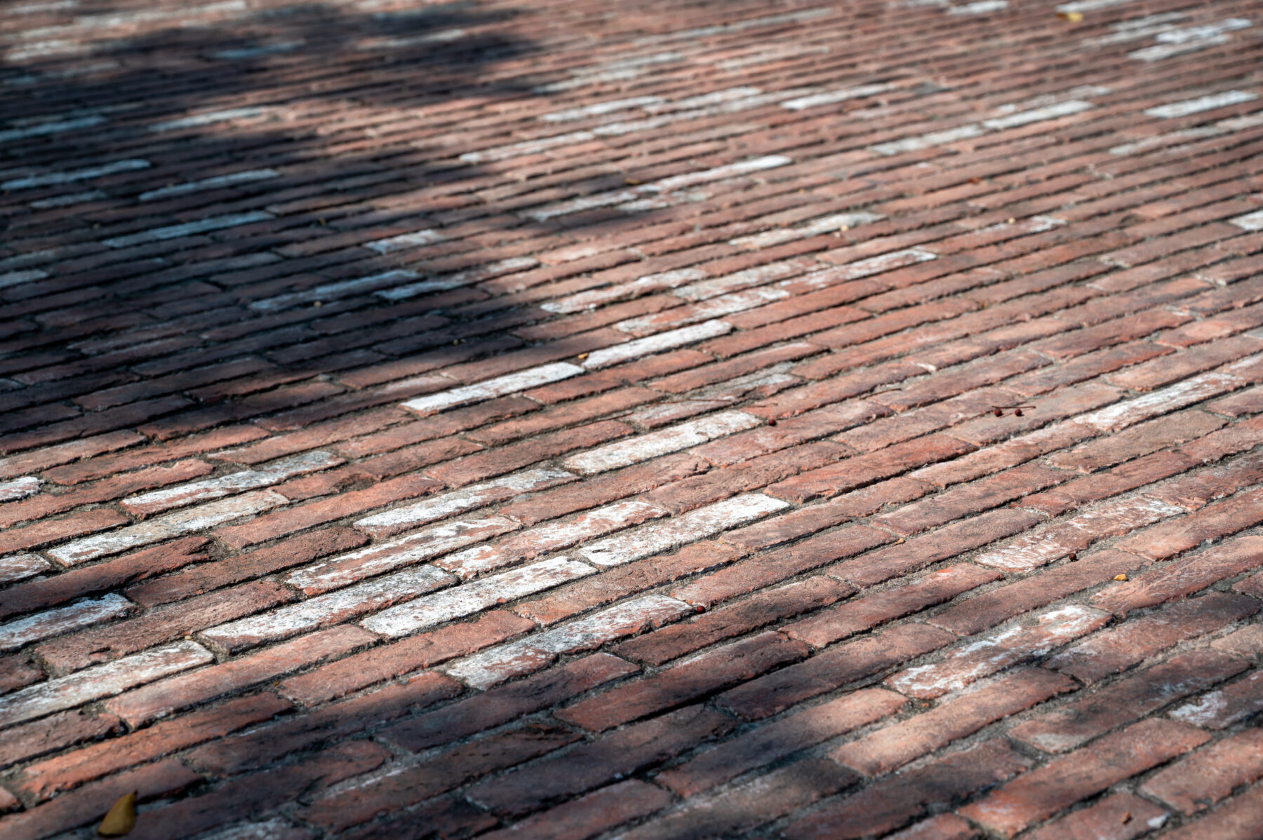 Photo of close up of red brick pavement