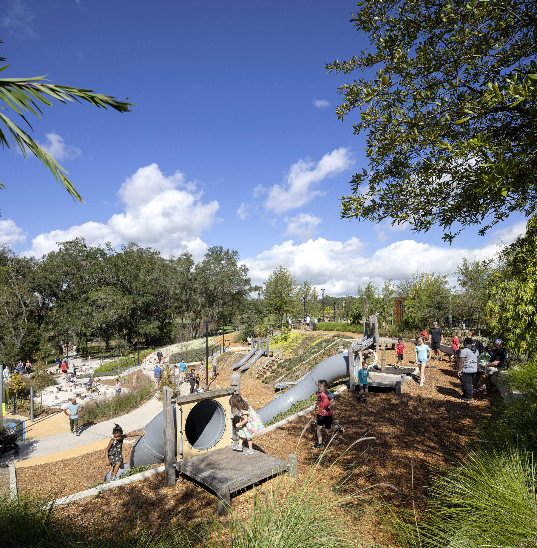 Under the shade of trees, children scurry around a playground, climbing up slides between grassy plantings