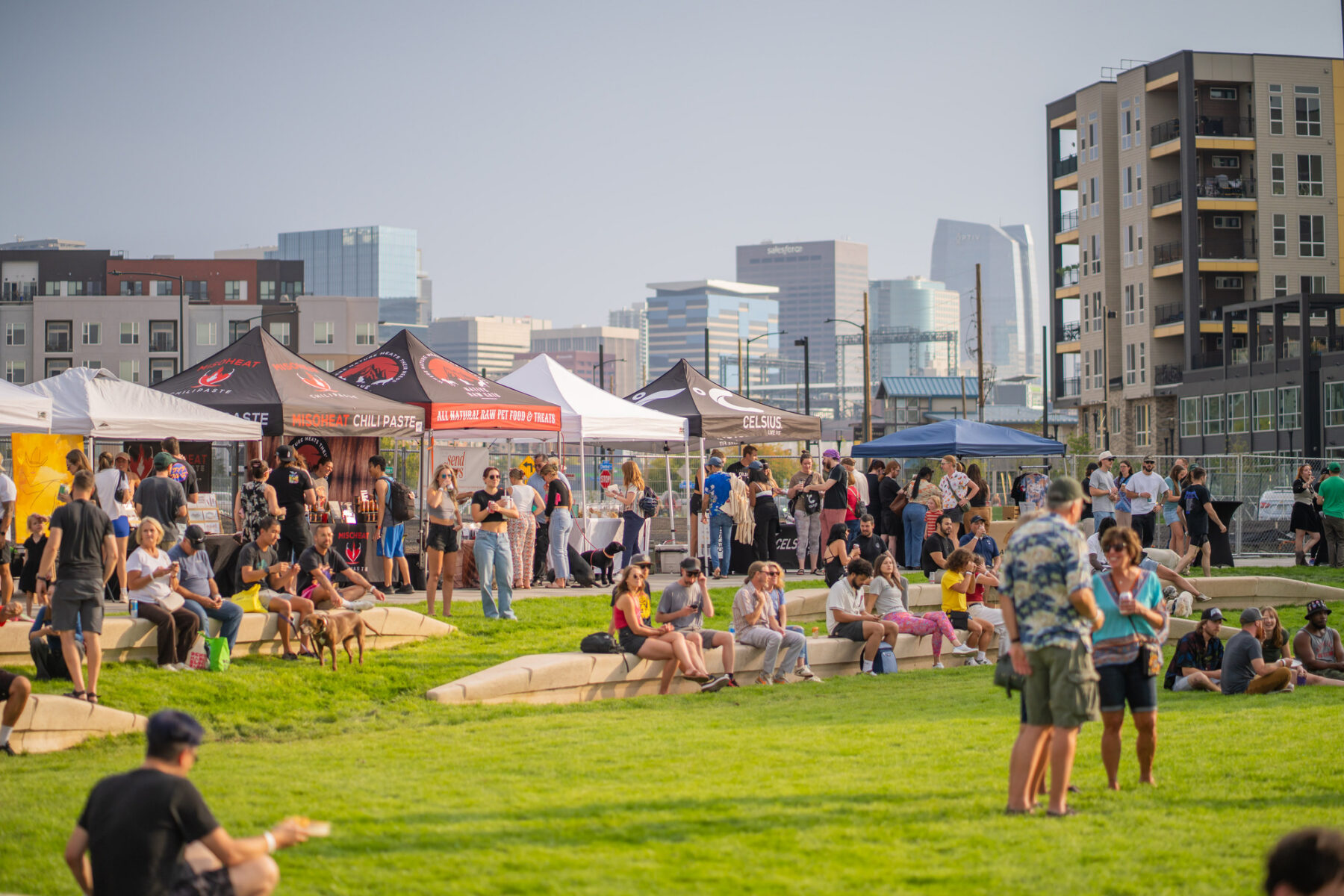 Photo of the event lawn filled with people and tents.
