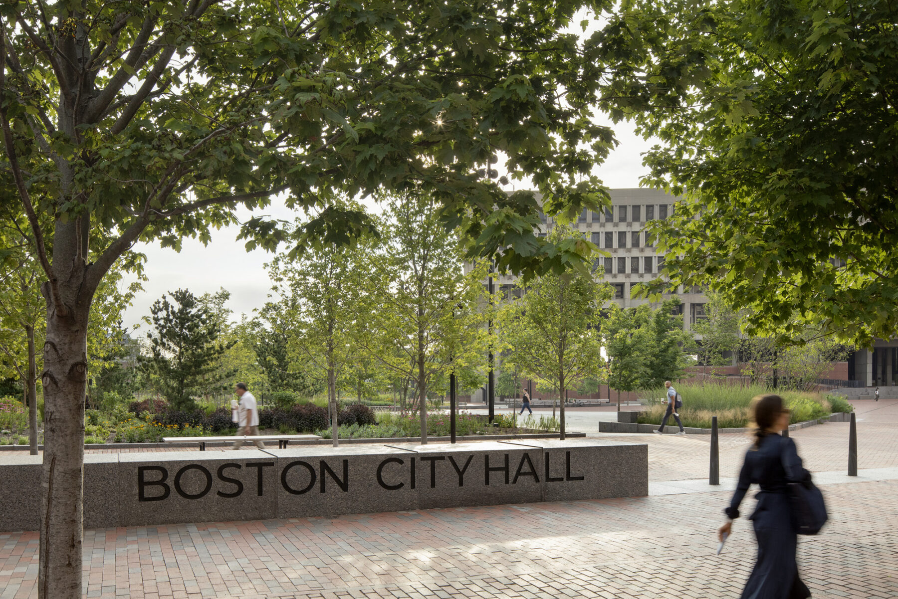 photograph of signage at entrance to Boston City Hall Plaza shaded by trees