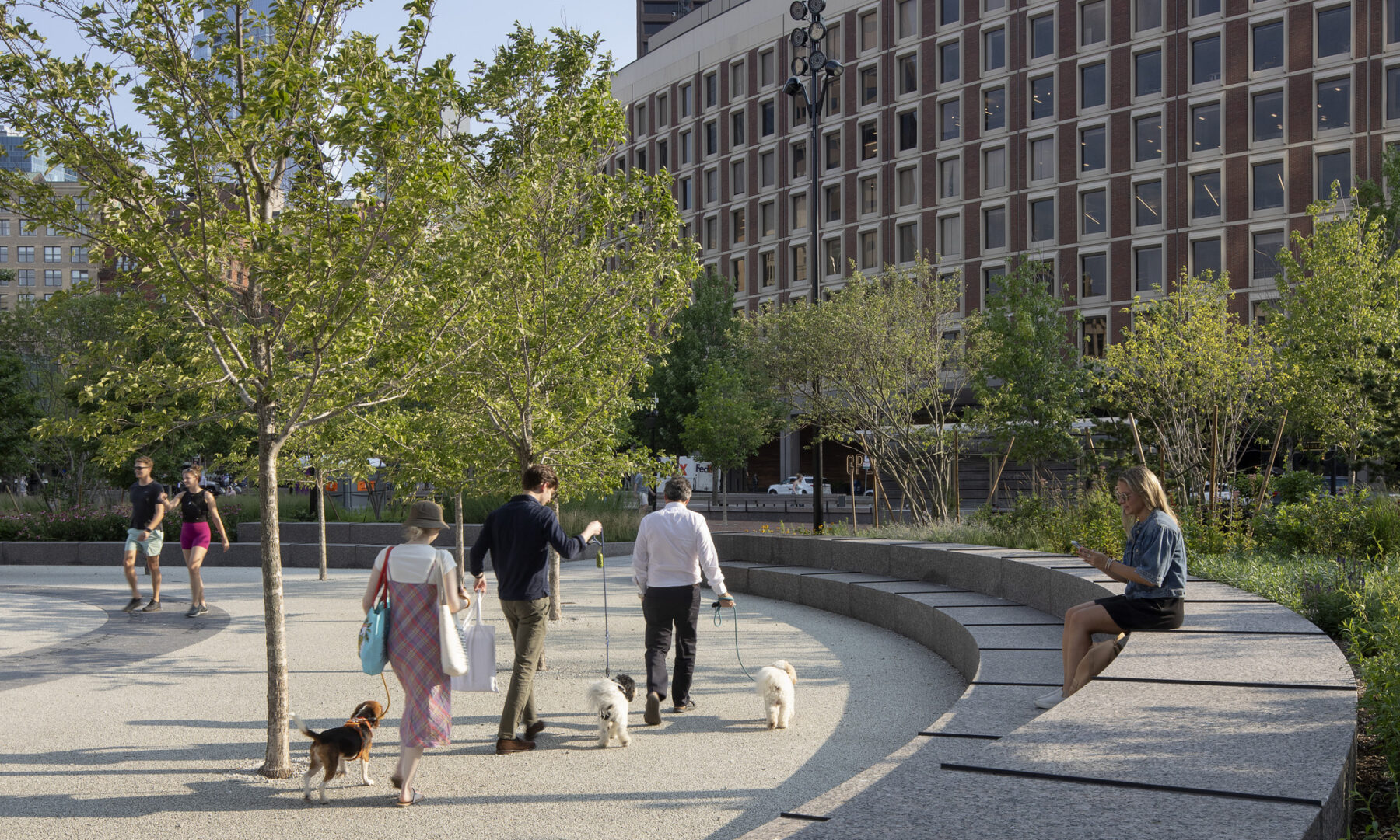 perspective photograph of pedestrians walking dogs in central plaza space