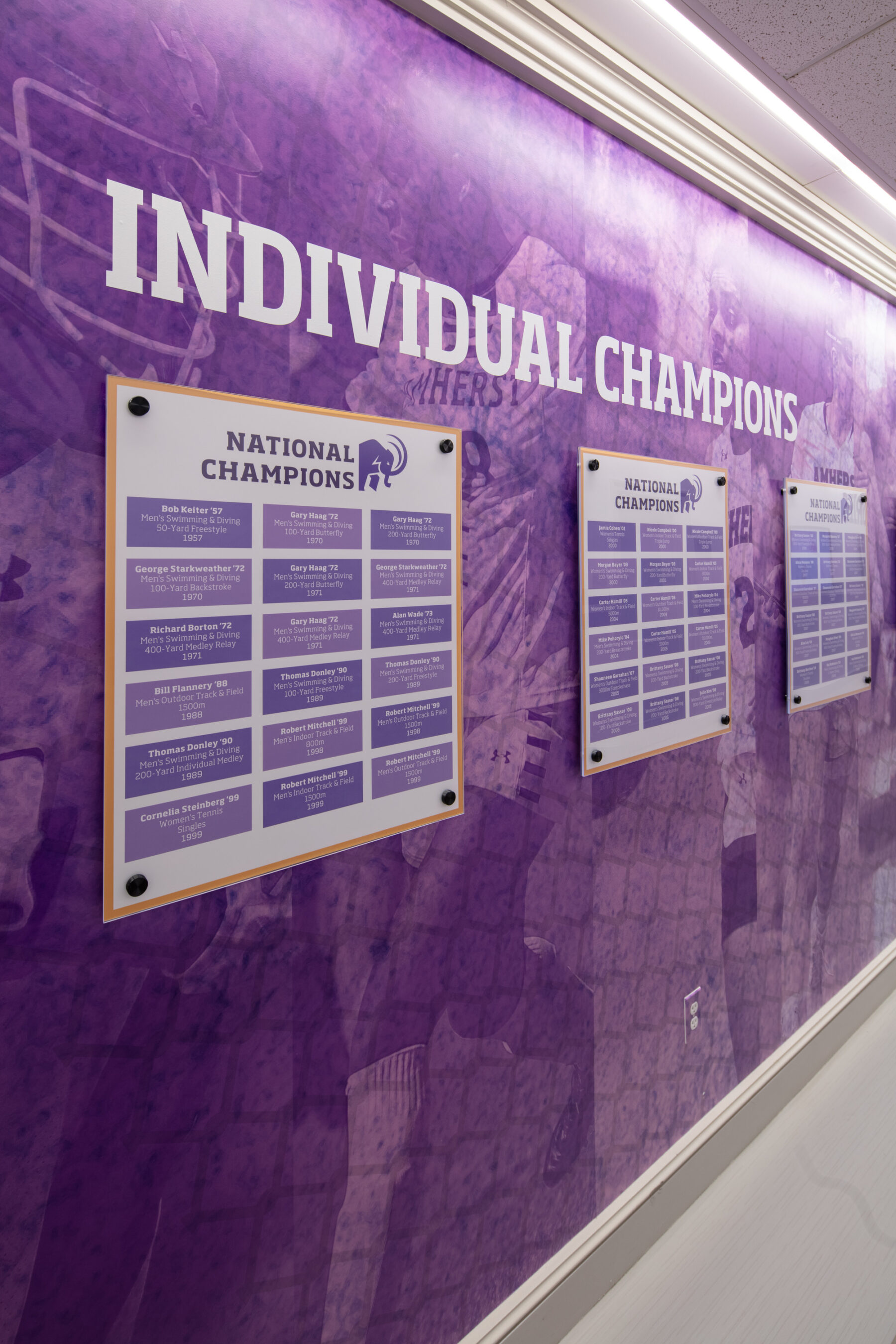 detail photograph of individual champion plaques on wall