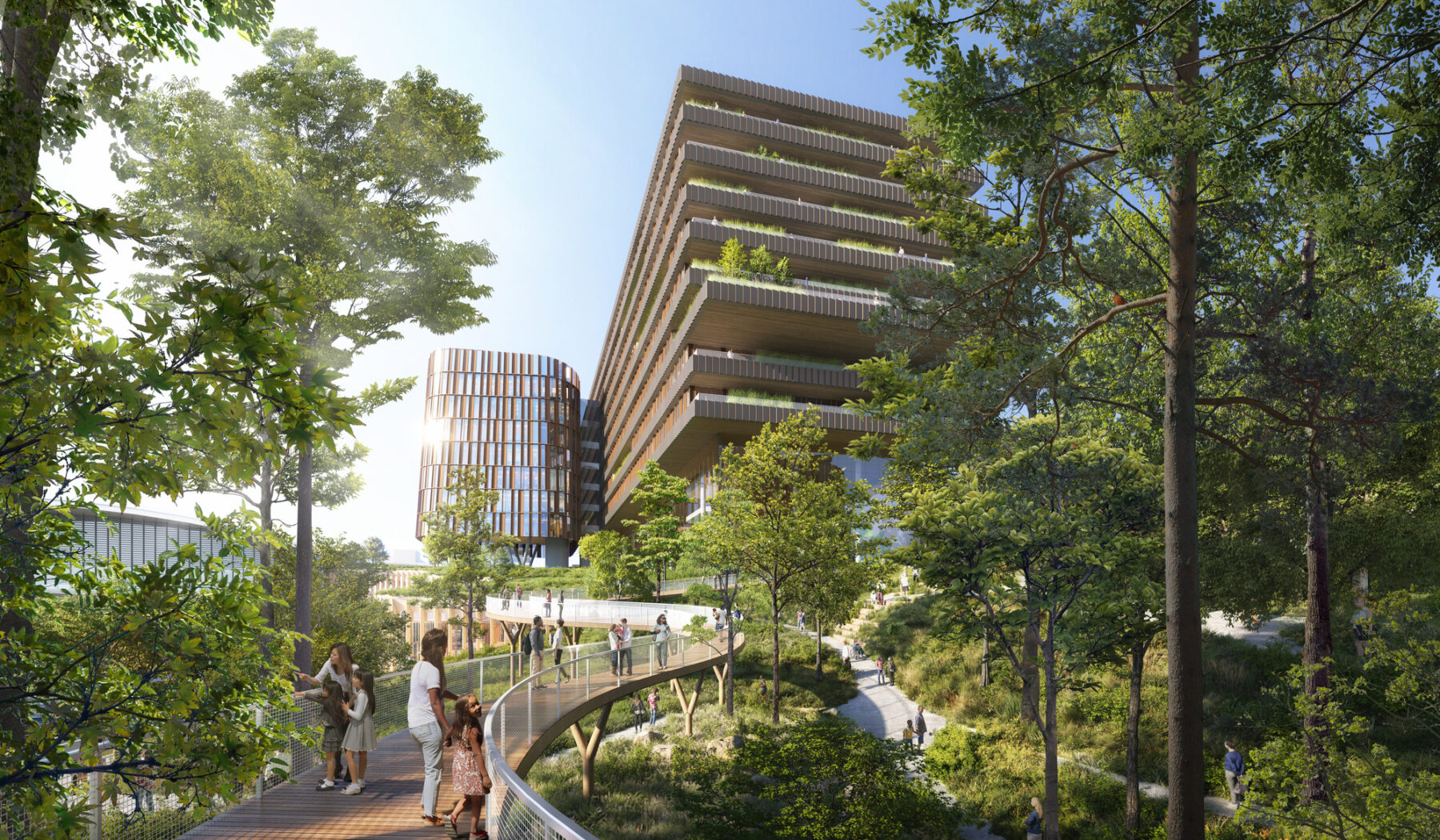 rendering of elevated canopy walk sloping throughout the arboretum