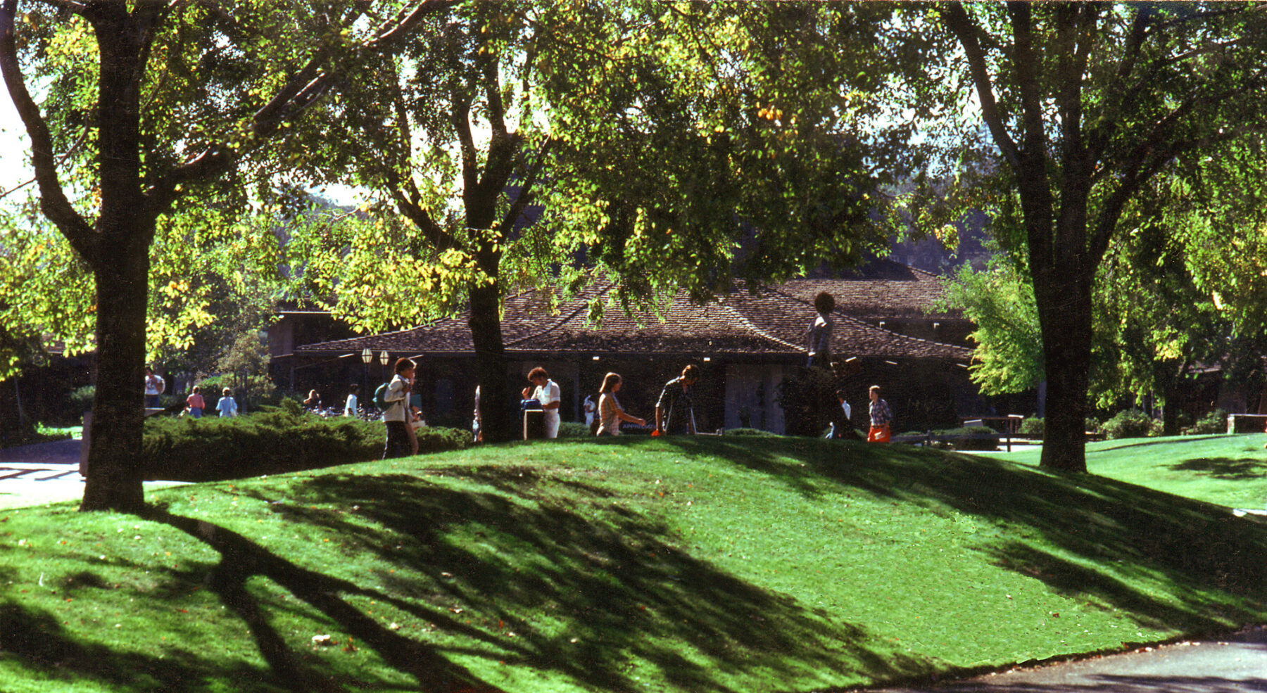 Color photo of students idling on a hill under the shade of trees at Foothill College
