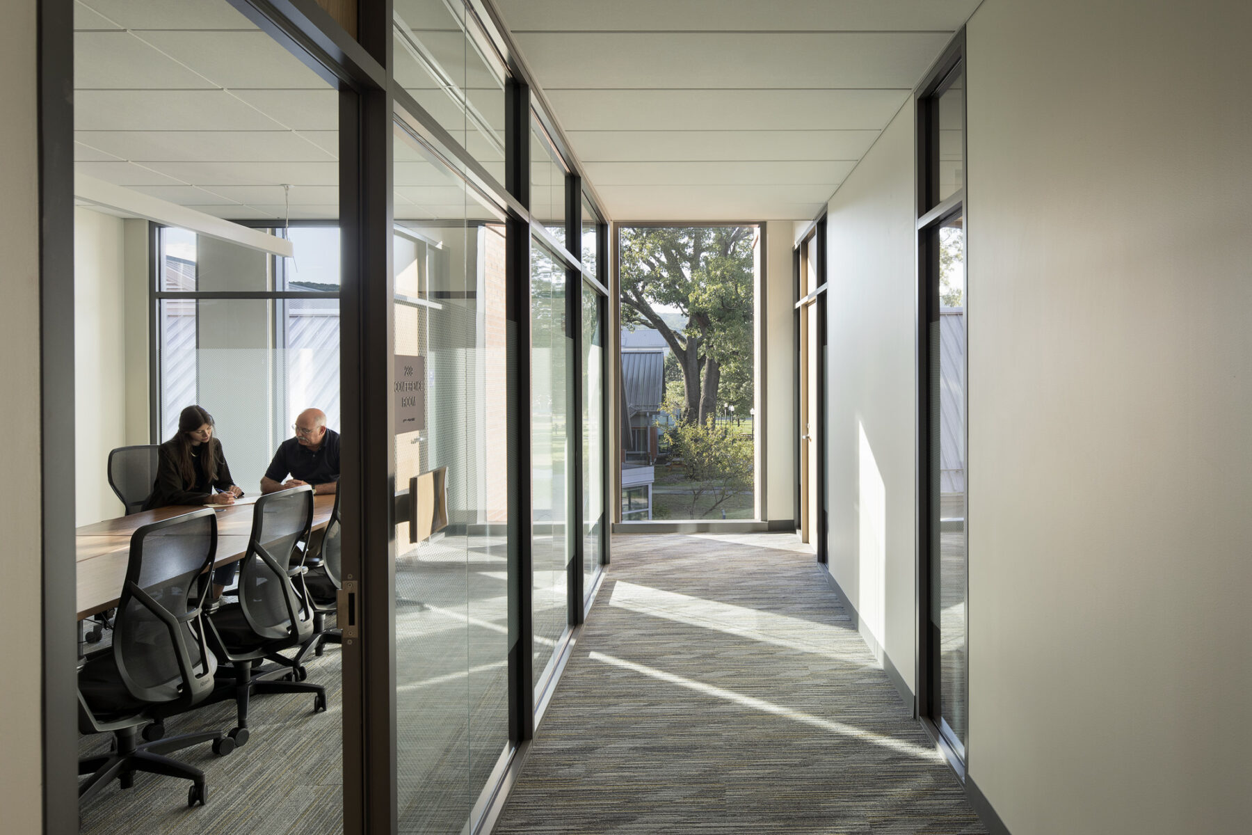 Photo looking into the faculty suite with daylight streaming through full height windows and views to trees on the exterior