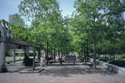 Old photograph of the Waterfront Park with lush trees providing shade over the main walkway with pedestrians