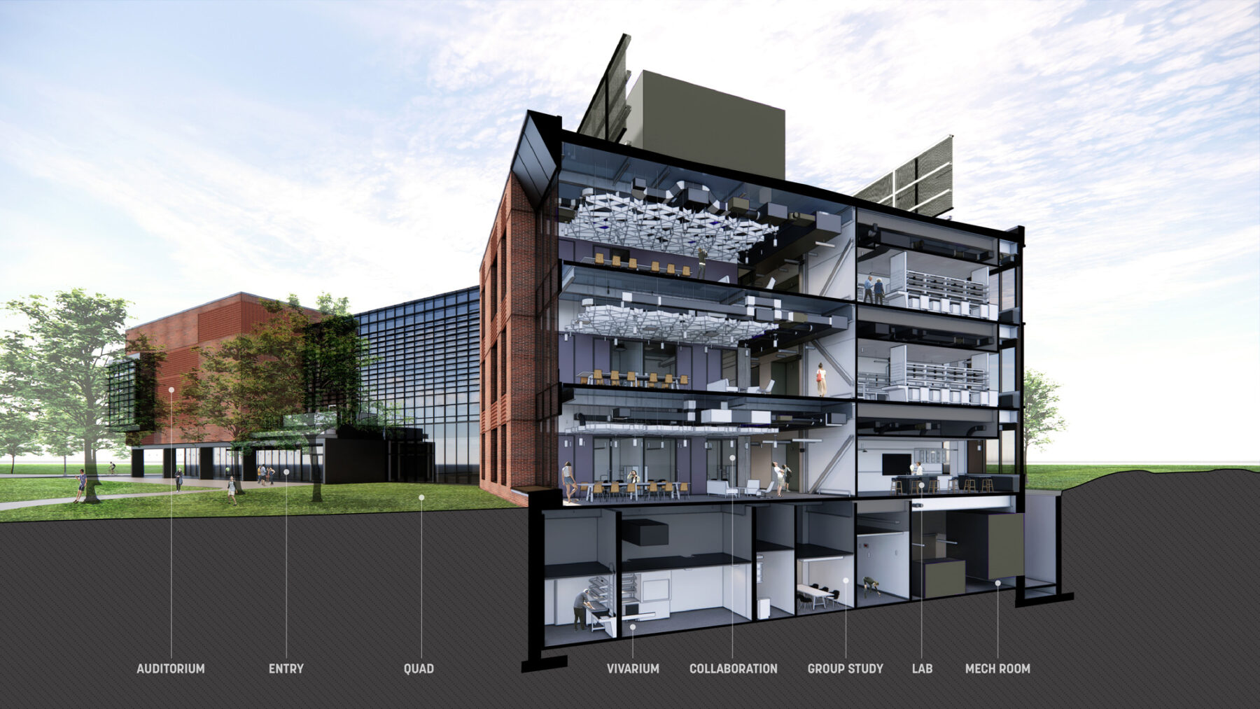 Building section revealing all 5 levels of different lab spaces