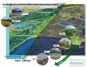 Analysis of the Santa Monica Airport site