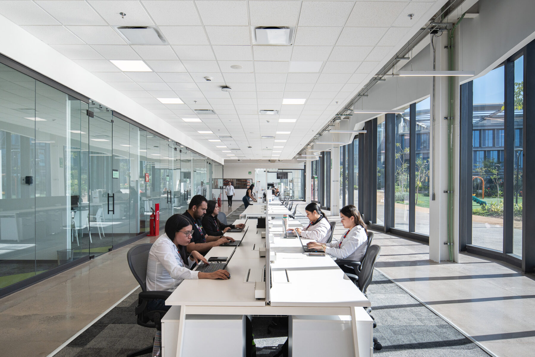 Interior photo of collaborative working suite showing lab technicians at their desks with labs on the left and glazing looking at the plaza on the right