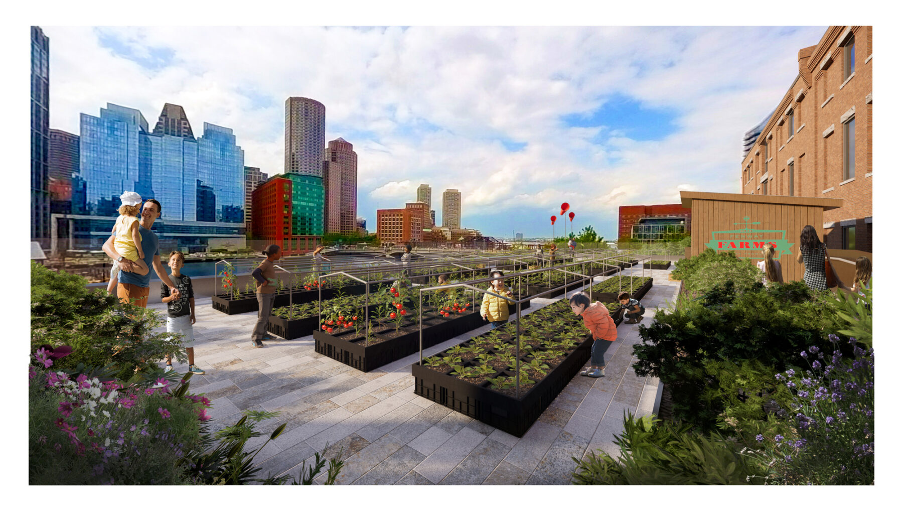 Rendered view of rooftop with Fenway Farms crates