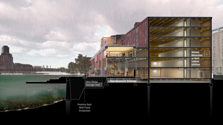 Rendered section of proposed harbourwalk design acting on the 2050 sea level rise projection