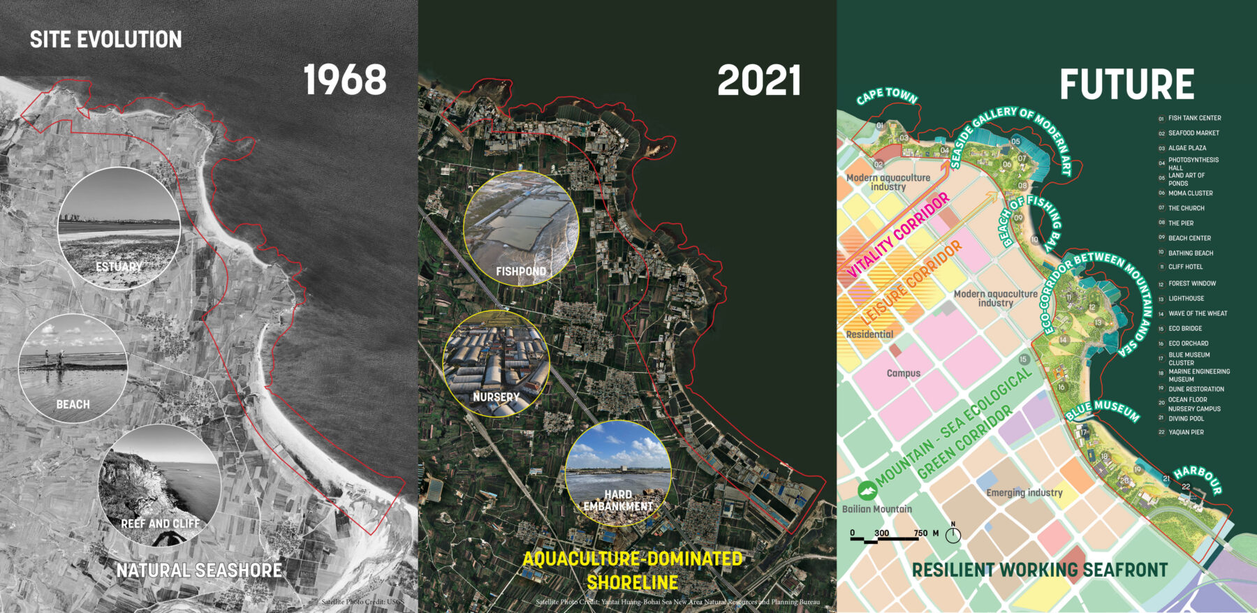 Graphic showing evolution of Huangshi Bay coastline from 1968, 2021, and a future projection
