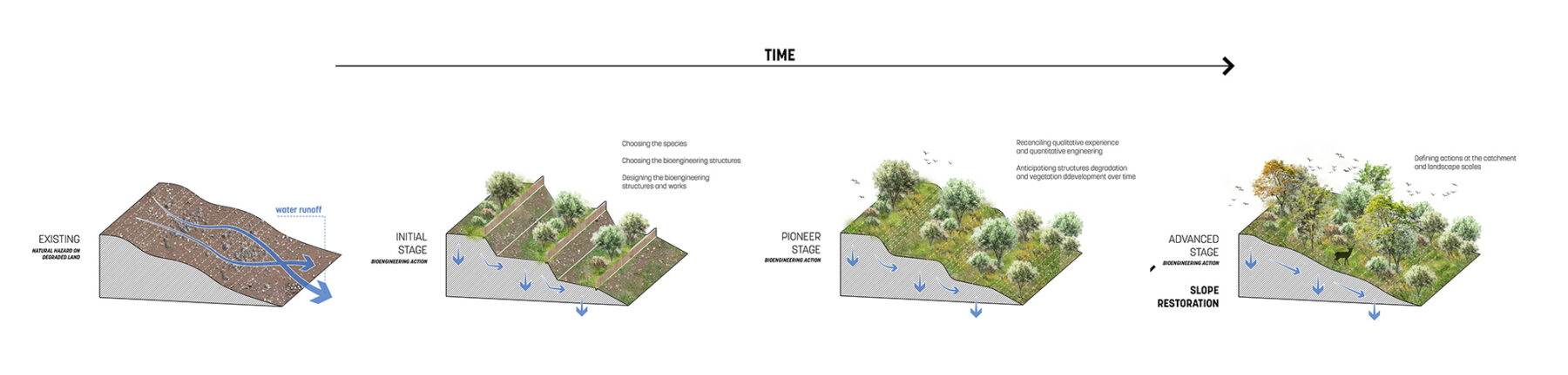 Combination of digital and rendered axonometric sections of the soil regeneration plan showing a dry condition on the left and gradually showing growth of vegetation towards the right